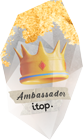 ambassador