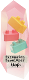 developer